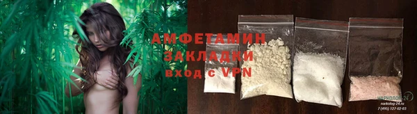 трава Елизово