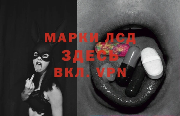 трава Елизово
