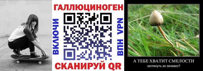 Купить где Колпашево Псилоцибиновые грибы прущие грибы